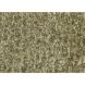 Karpet Macchie 160x230 groen